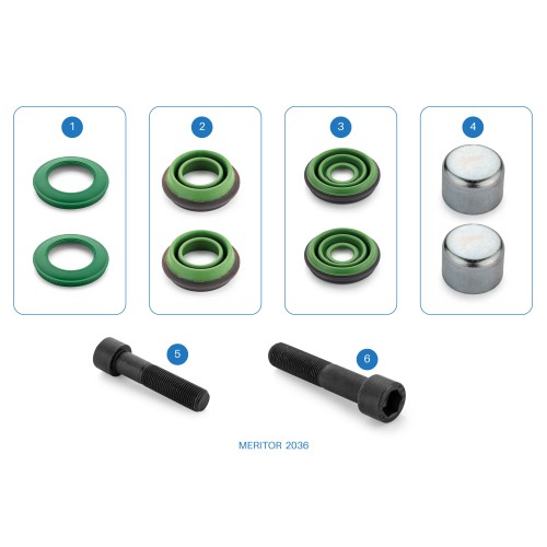 CMSK.2.1 / 2036 / Caliper Repair Kit / DX 195