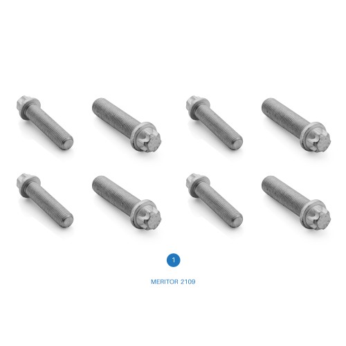 3095631 / 2109 / Duco Cap Cover Bolts / DUCO