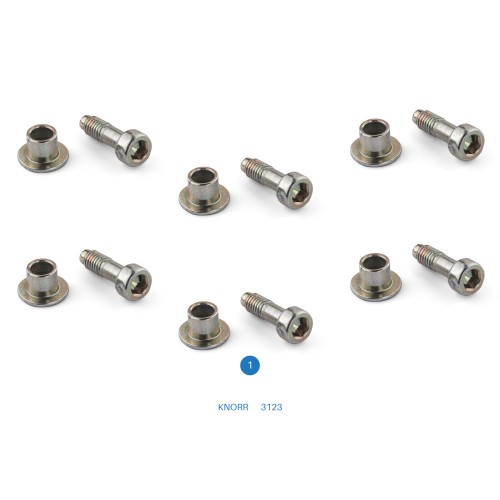 3123 / Caliper Plastic Cover Screw Set - SB5, SN5, SB6/SB7, SN6/SN7/SK7, SL7/SM7/ST