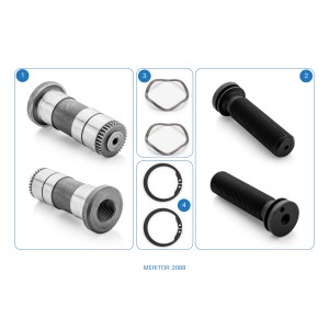 CMSK.19.2 / 2088 / Caliper Pistons & Pinions Repair Kit (Left) / DX 225, DX 195