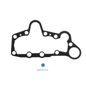 2120 / Caliper Cover Plate Gasket (Metal Sheet) / Elsa 1