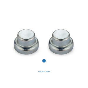 89927 / 5009 / Caliper Cap Set / MARK