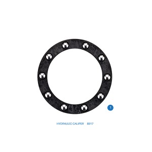 8017 / Rulman / BREMBO Hydraulic